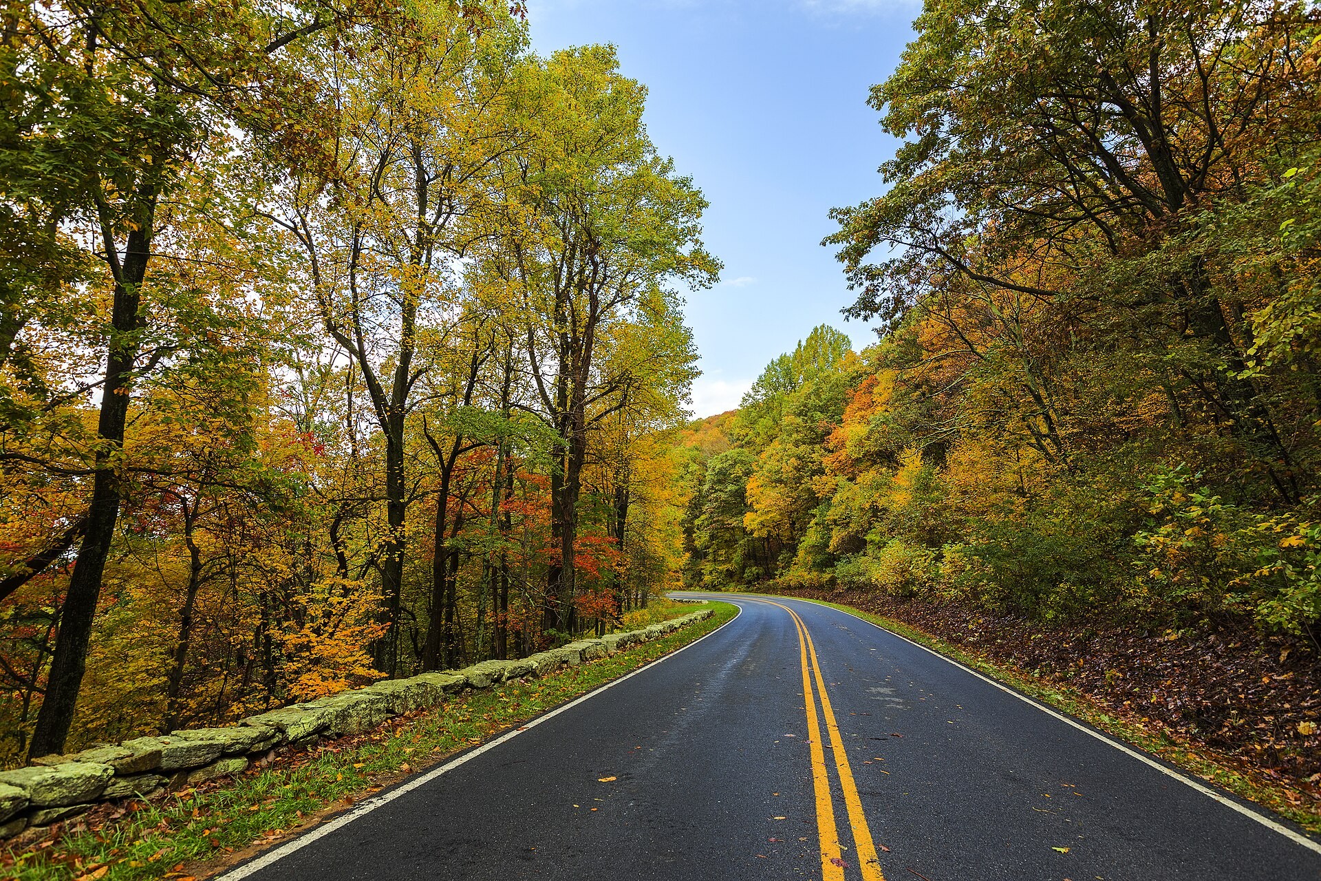 Skyline Drive curving through fall foliage along the ridge in Shenandoah National Park