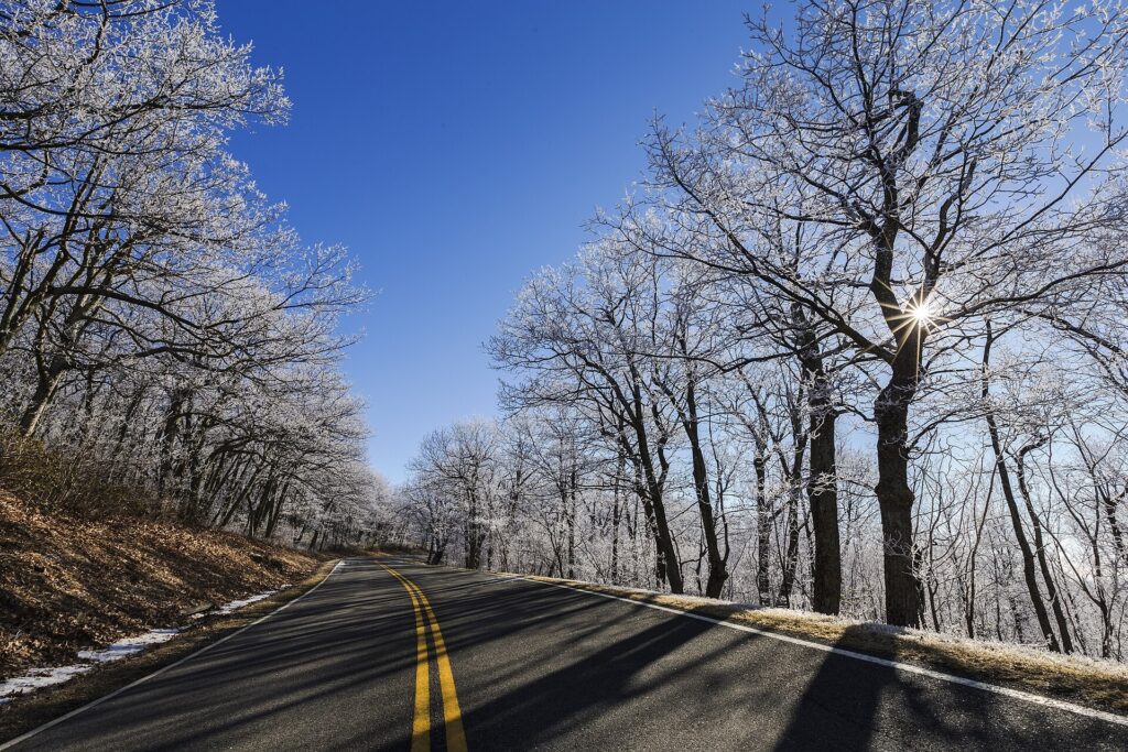 Frosted trees and sun beside Skyline Drive in Shenandoah National Park