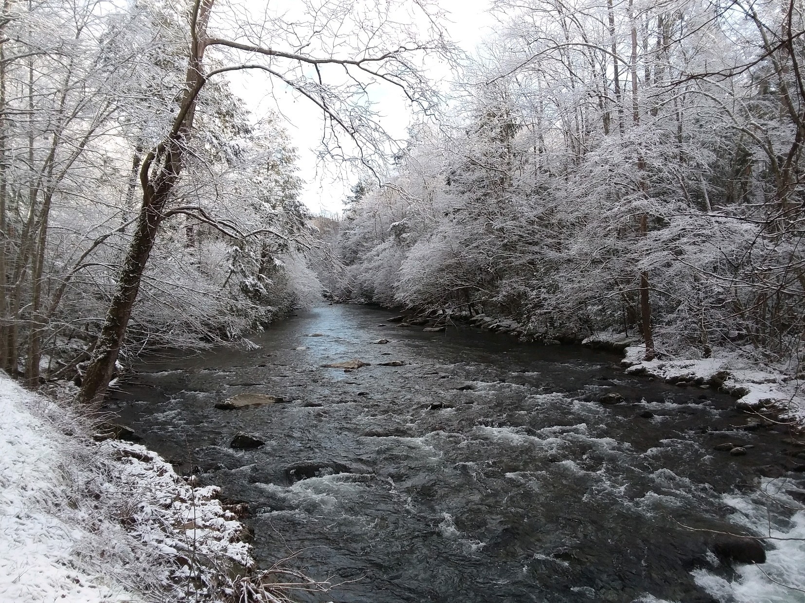 Snow along a stream in Great Smoky Mountains National Park in January