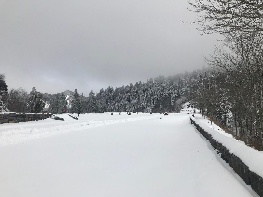 Snow covering the ground and trees at Newfound Gap in Great Smoky Mountains National Park