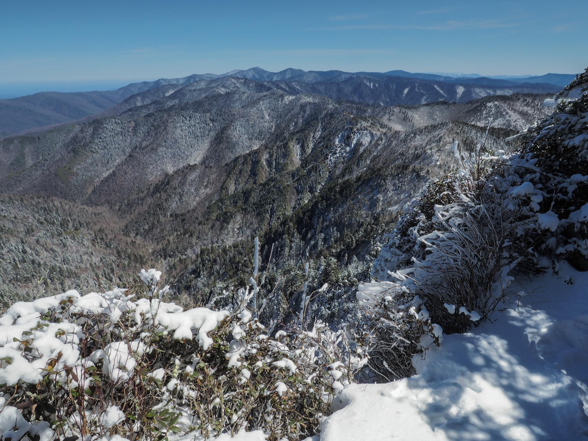 Winter scene in Great Smoky Mountains National Park