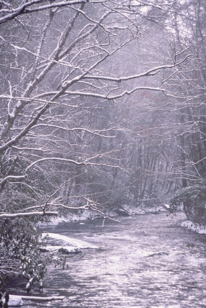 Cataloochee Creek running through snow in Great Smoky Mountains National Park