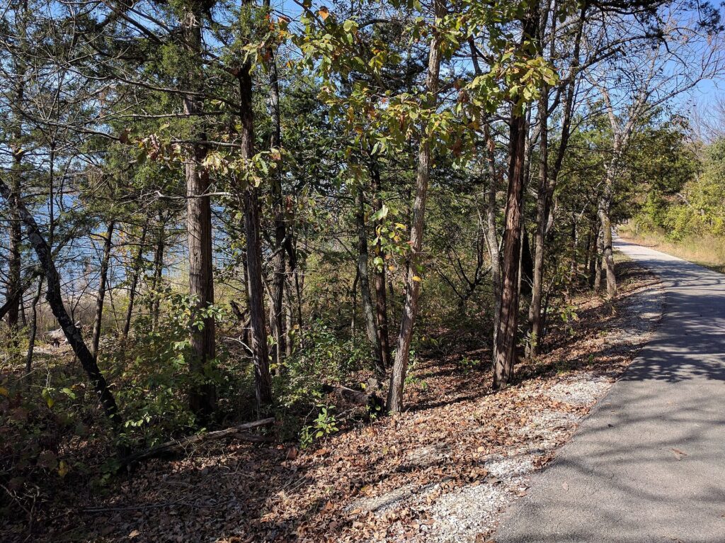 Paved lakeshore trail through hardwoods beside Table Rock Lake