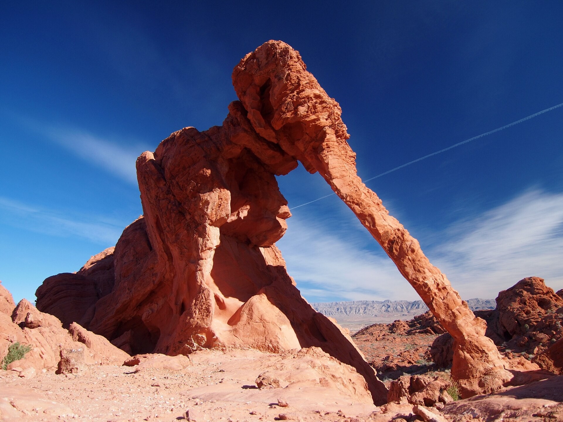 Elephant Rock sandstone formation in Valley of Fire State Park, Nevada