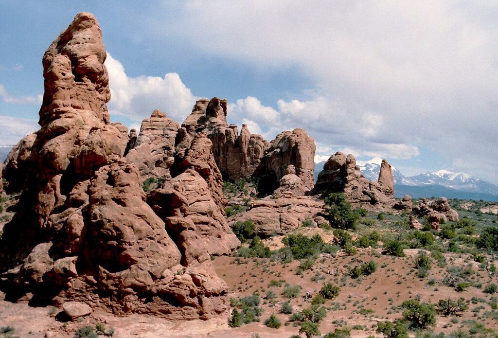 Rock fins and arches in the Windows Section of Arches National Park, Utah