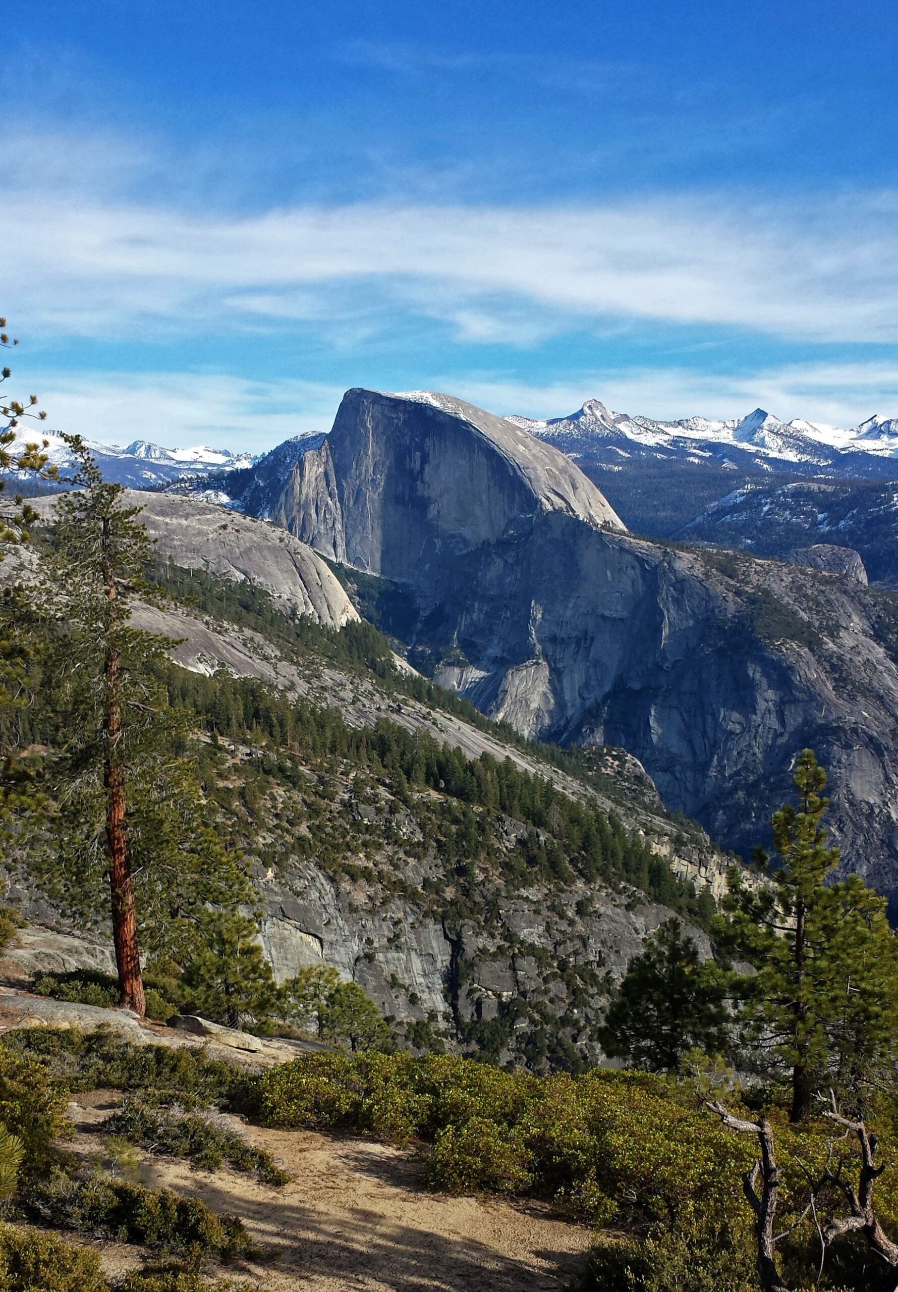 Half Dome seen across a forested slope with snow-dusted peaks beyond, Yosemite National Park
