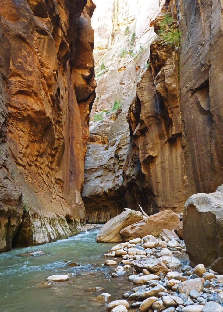 Virgin River running between tall orange sandstone walls in the Narrows, Zion National Park, Utah